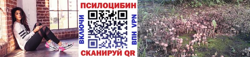 Купить  Любим  Псилоцибиновые грибы ЛСД 